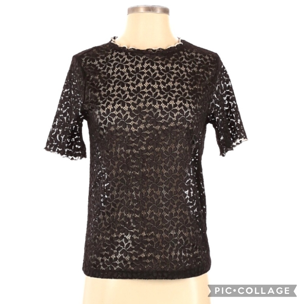 Zara Trafaluc Lace 1/4 Sleeve Blouse - Picture 1 of 3